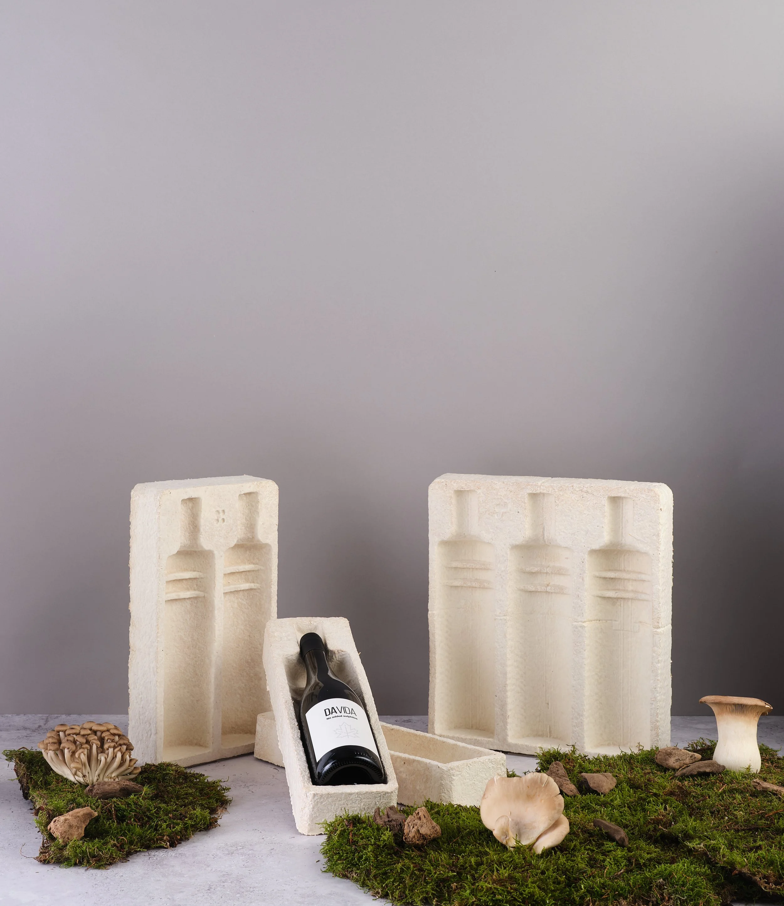 MagicalMushroom-5.5.223916.jpg