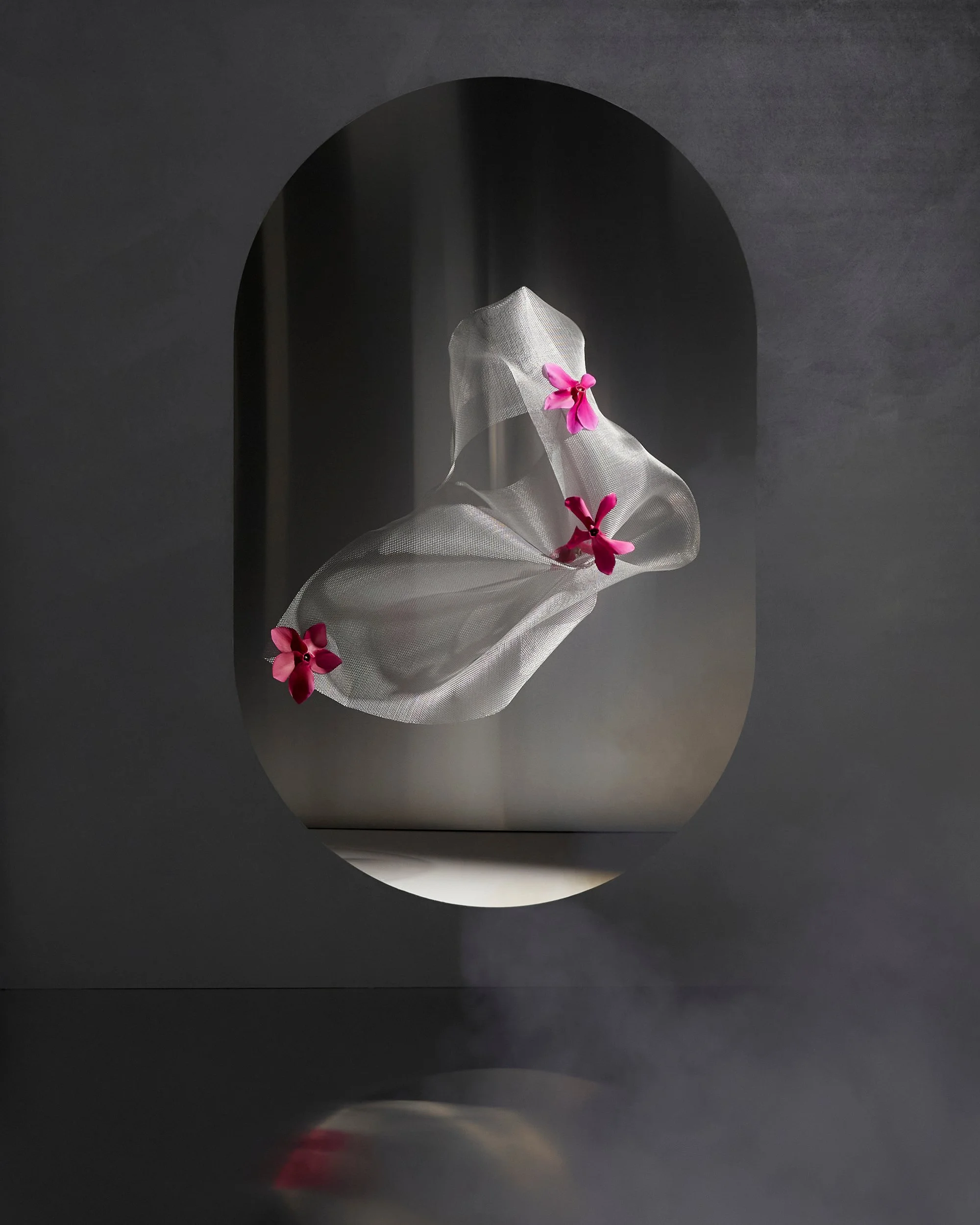 KRISTY NOBLE PHOTOGRAPHER_FLORAL KINETIC_LOWRES_02_V2.JPG