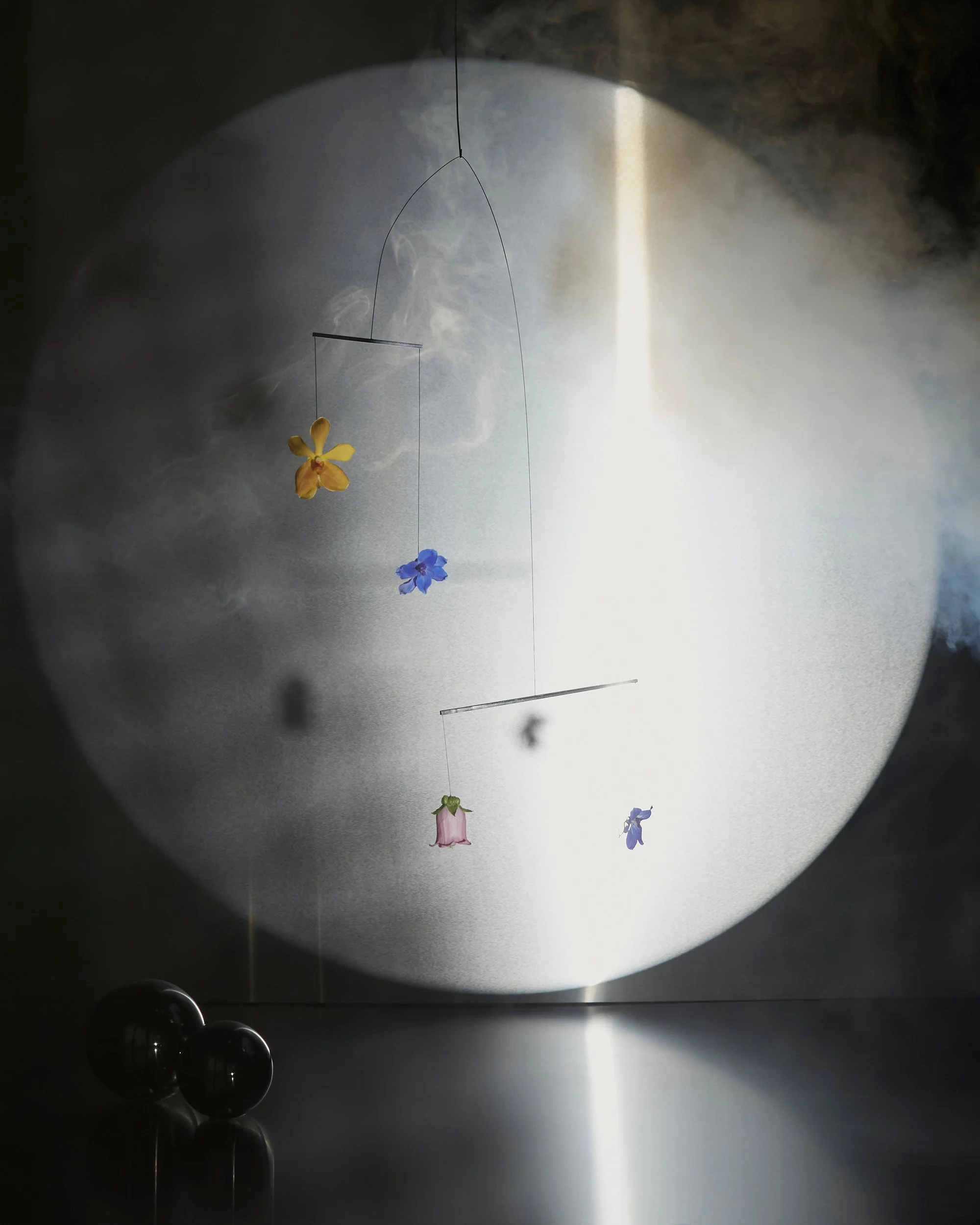 KRISTY NOBLE PHOTOGRAPHER_FLORAL KINETIC_LOWRES_01.JPG