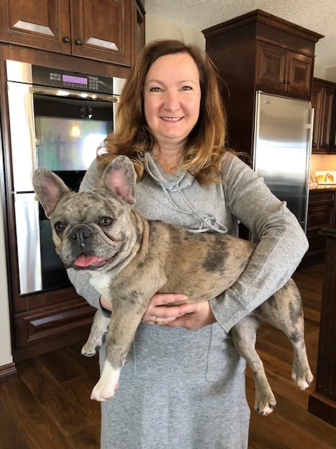 Get About Wild Rose Rare Frenchies For iPhone Free Wallpaper About Wild Rose Rare Frenchies For iPhone