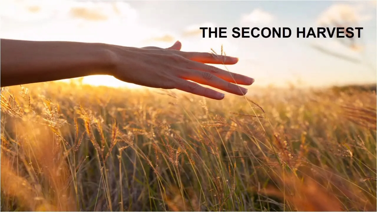 The Second Harvest