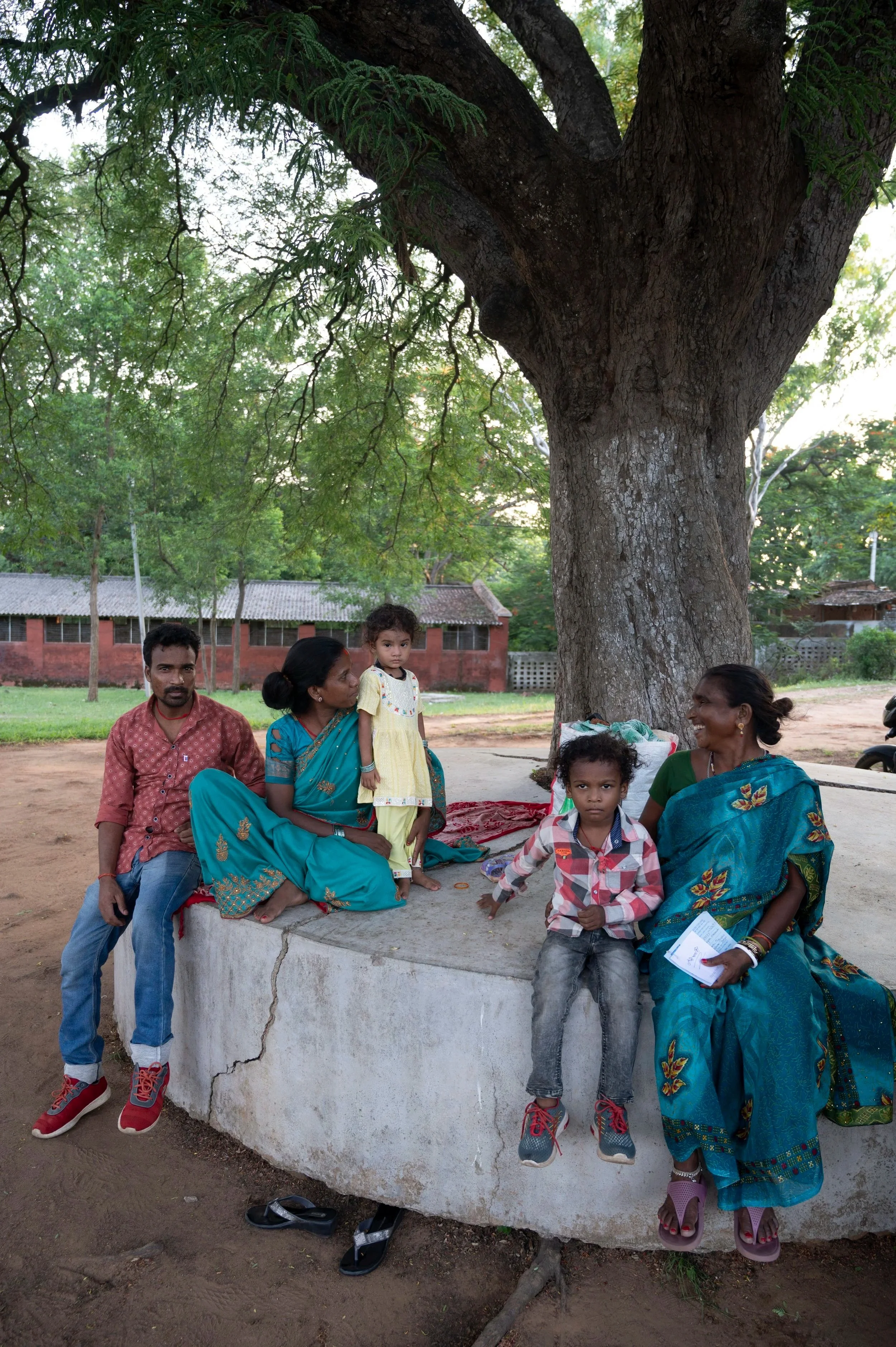 tamarind+tree.jpg