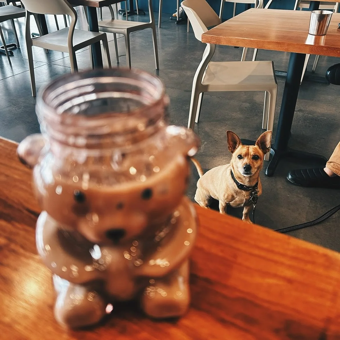 Bear cup? Oh honey, at Plata we&rsquo;ve been doing that since February&hellip; 
.
.
#abq #abqfoodies #abqcoffee #coffee #bearcup