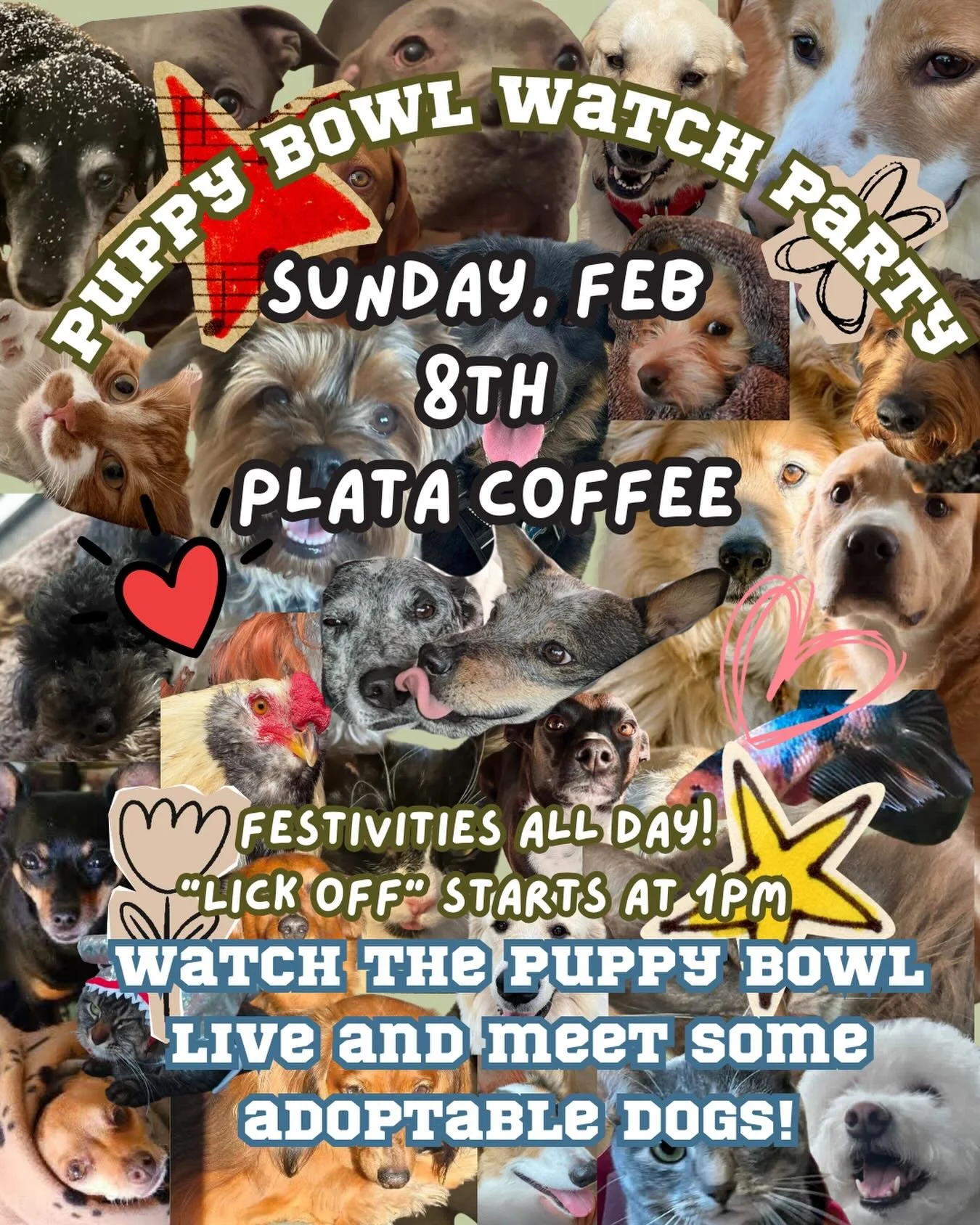 What do we know about sports? Nothing. What do we know about puppies? LOTS! Come celebrate the Puppy Bowl with us! Well have drinks, treats, and dogs all while playing Bad Bunny all day. See you there!
.
.
#abq #abqcoffee #coffee #burque #abqnm