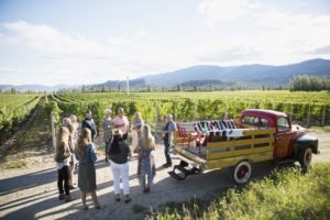 Vintner leading tour in sunny vineyard