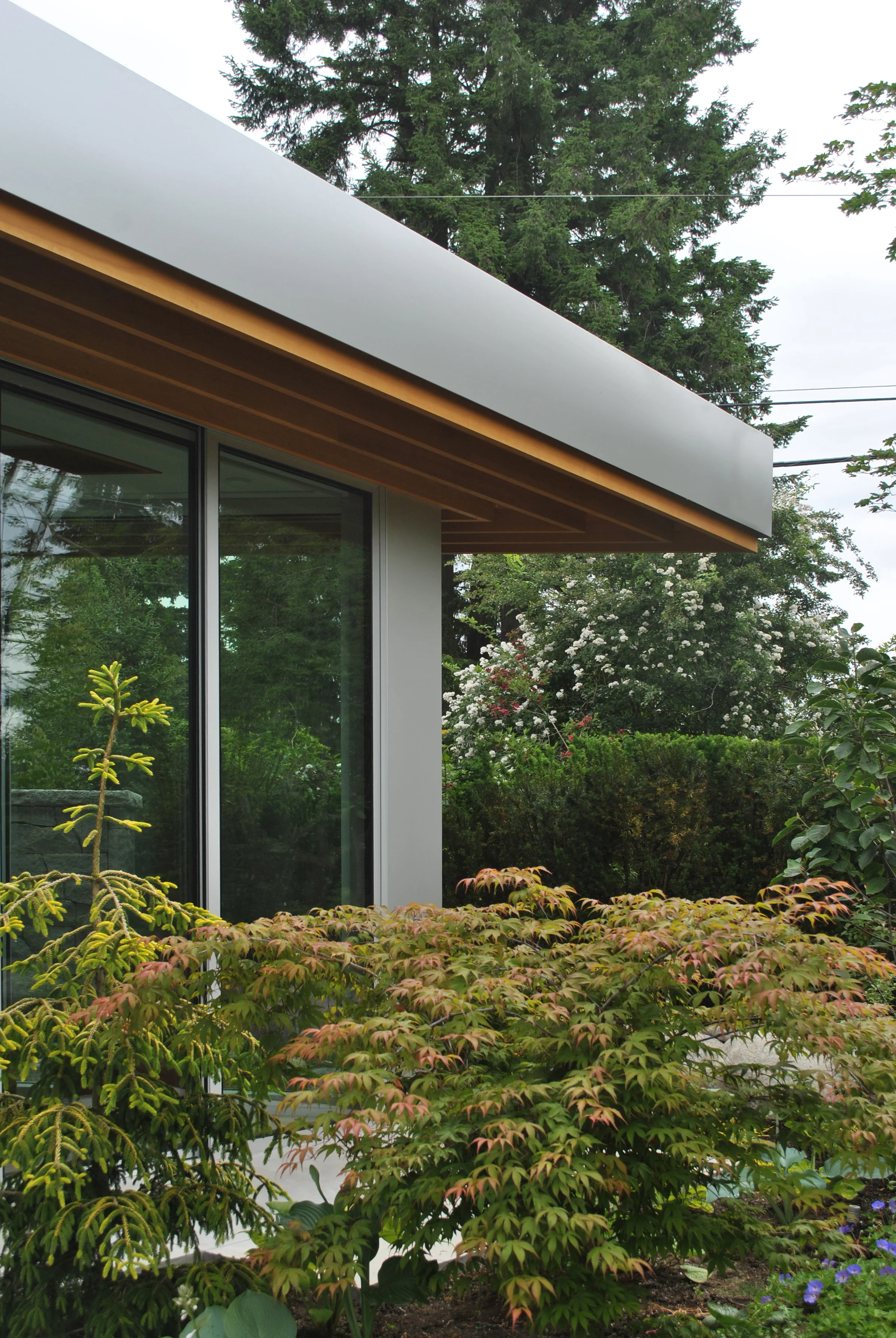 Pemberton Heights North Vancouver-Berwick Architects