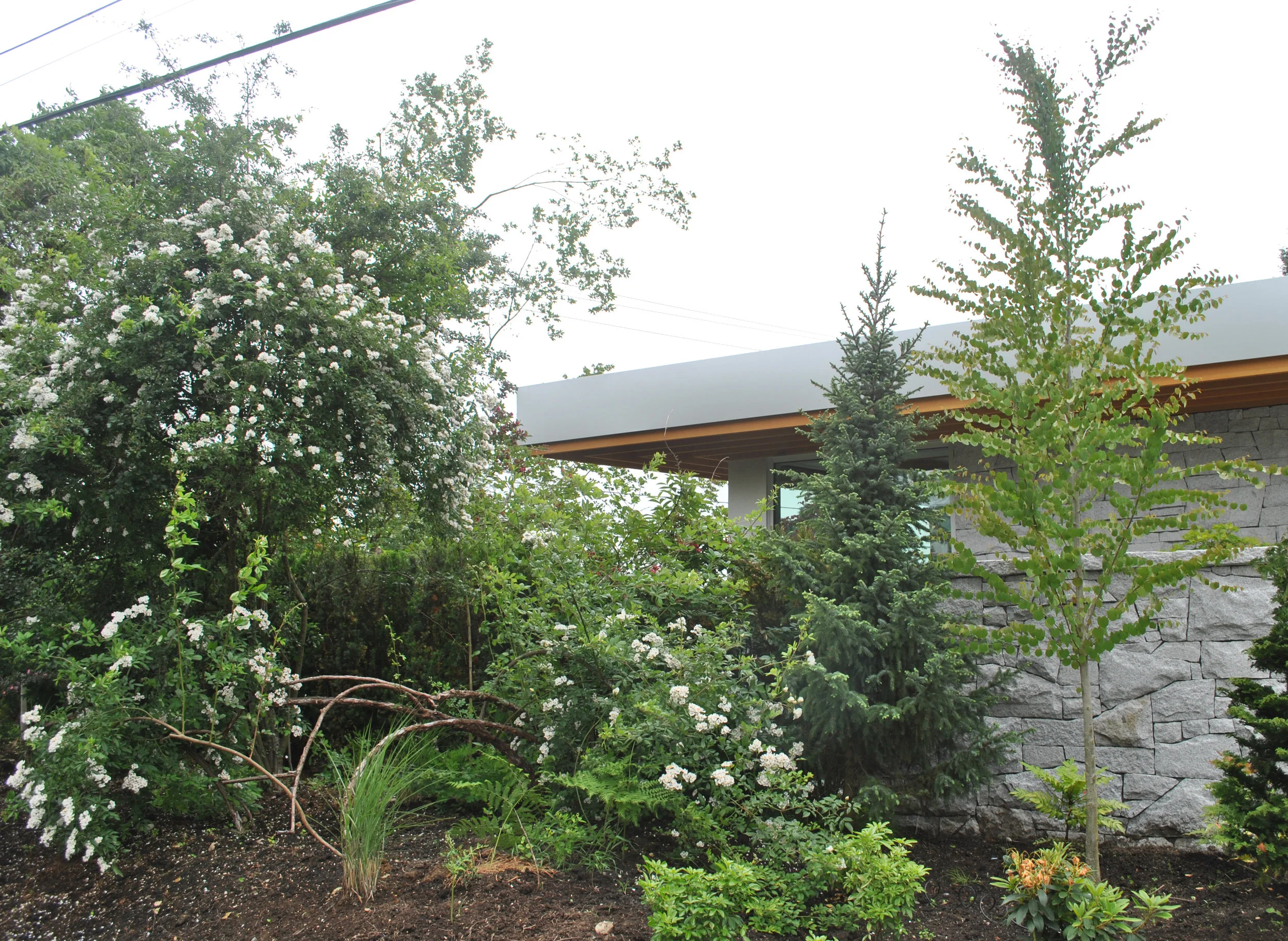 Pemberton Heights North Vancouver-Berwick Architects