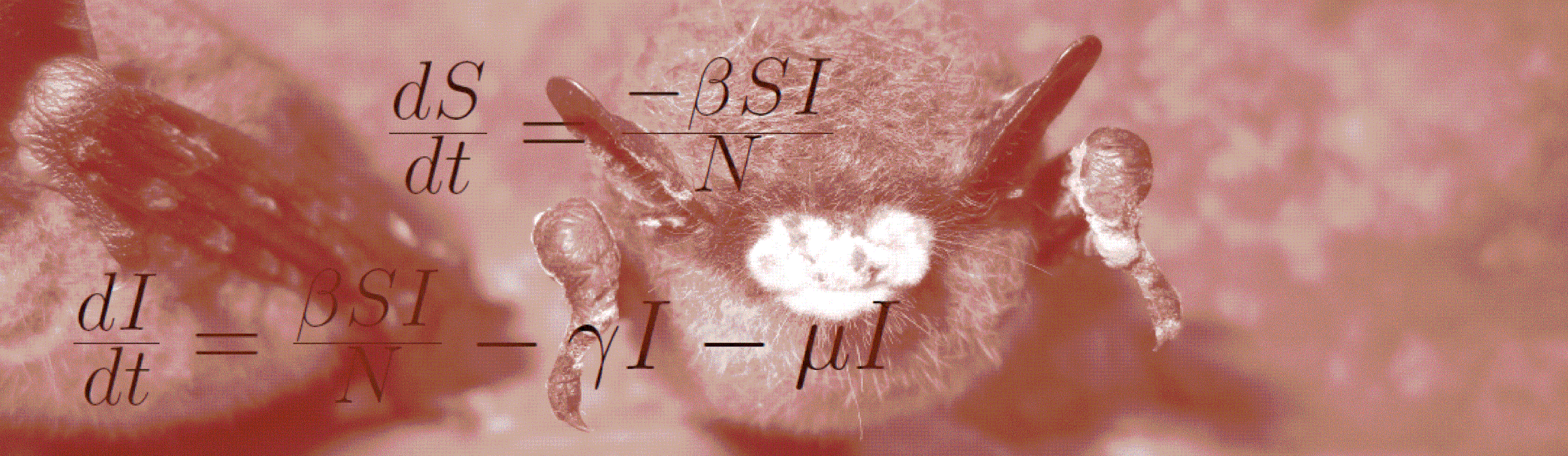 eqns with hiber bats.gif