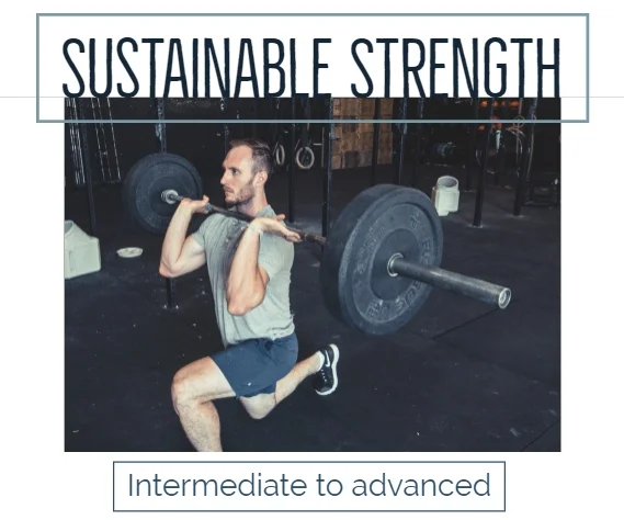 Sust Strength General.jpg