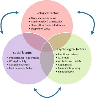 https://www.lewespainclinic.co.uk/single-post/2018/11/12/Biopsychosocial-Health