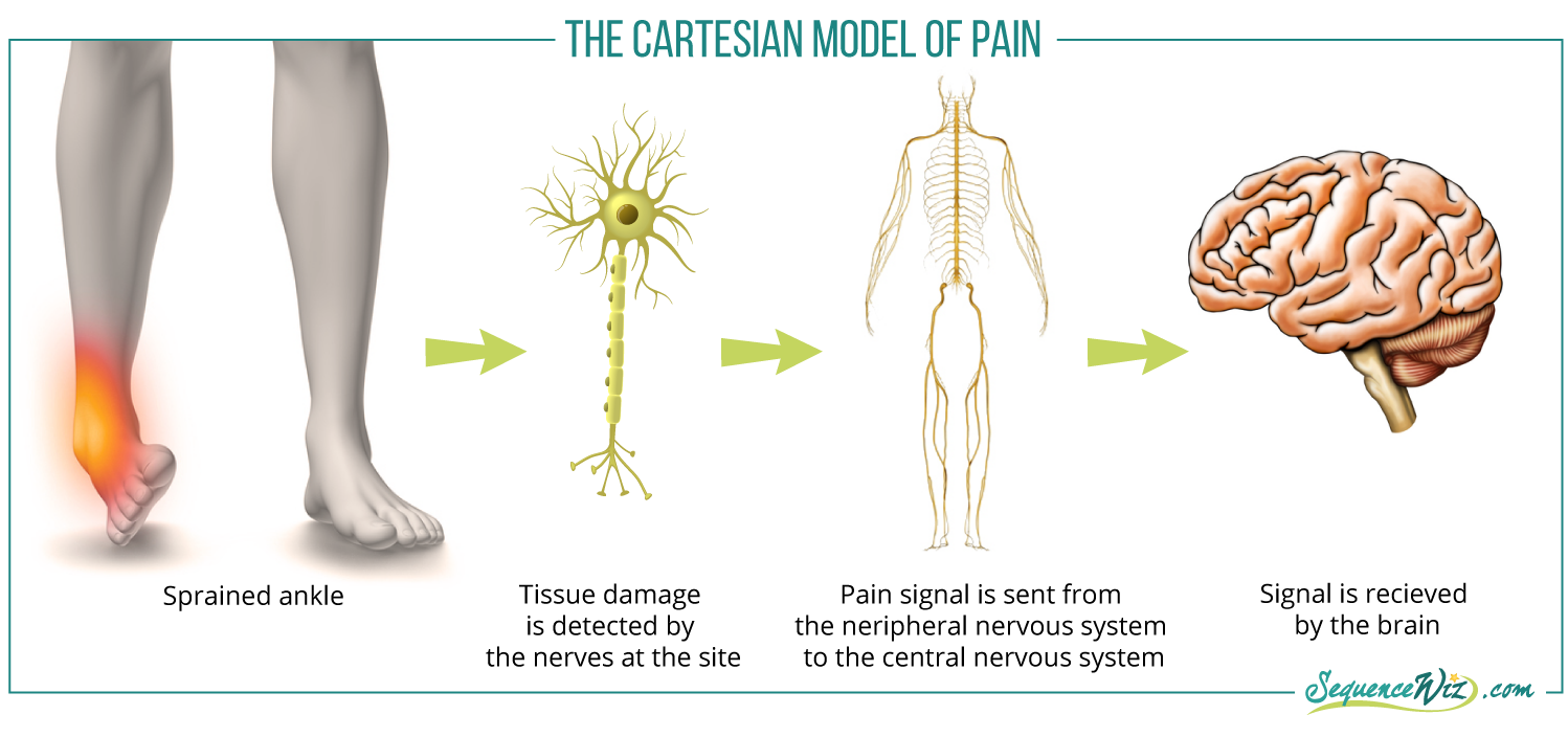 Models-of-Pain1.png