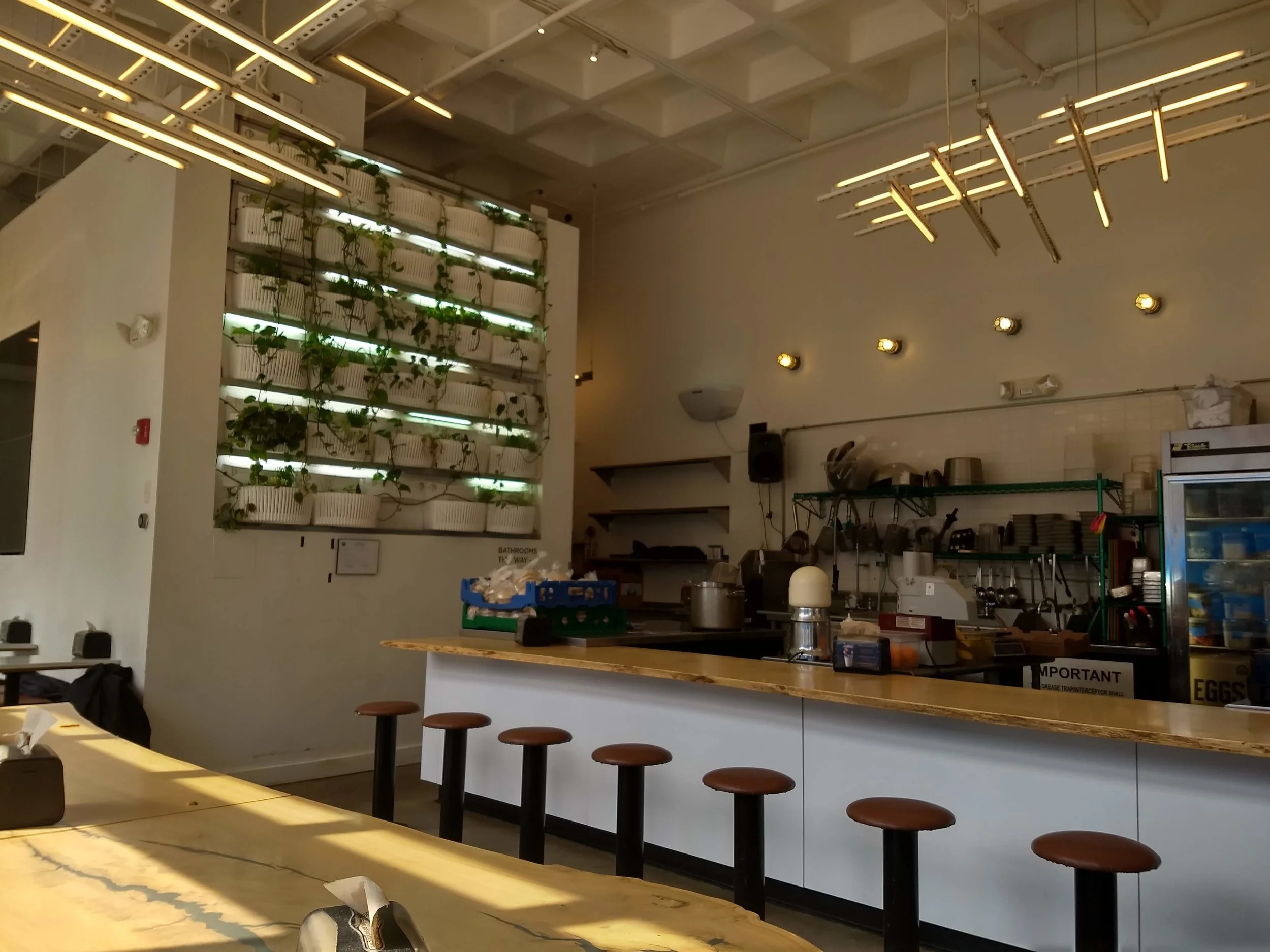 Cambridge Impact Breakfast