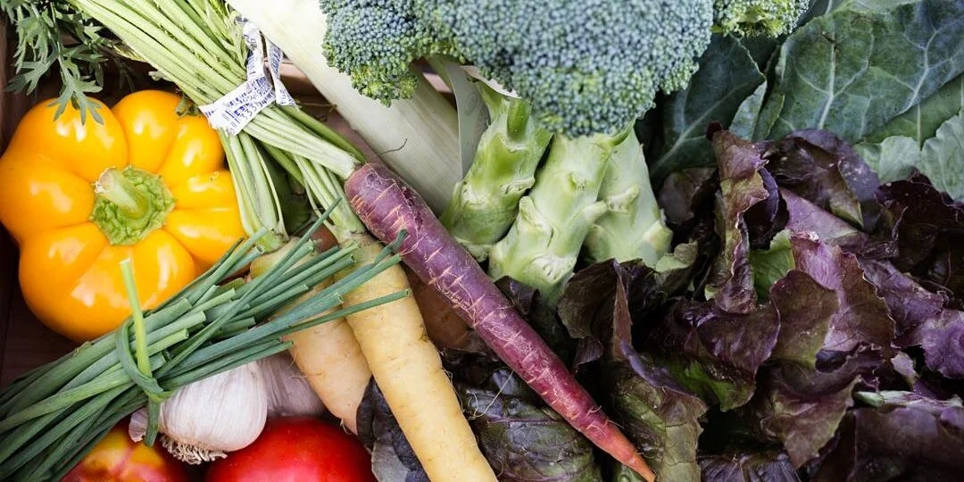 Fall Cooking Tutorial with Net Impact Boston and Boston Organics!