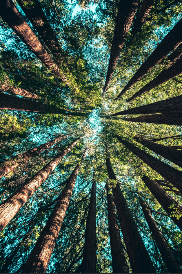 Net Impact Boston &amp; Boston Area Sustainability Group (BASG) Kickoff to Boston Climate Week Networking Event