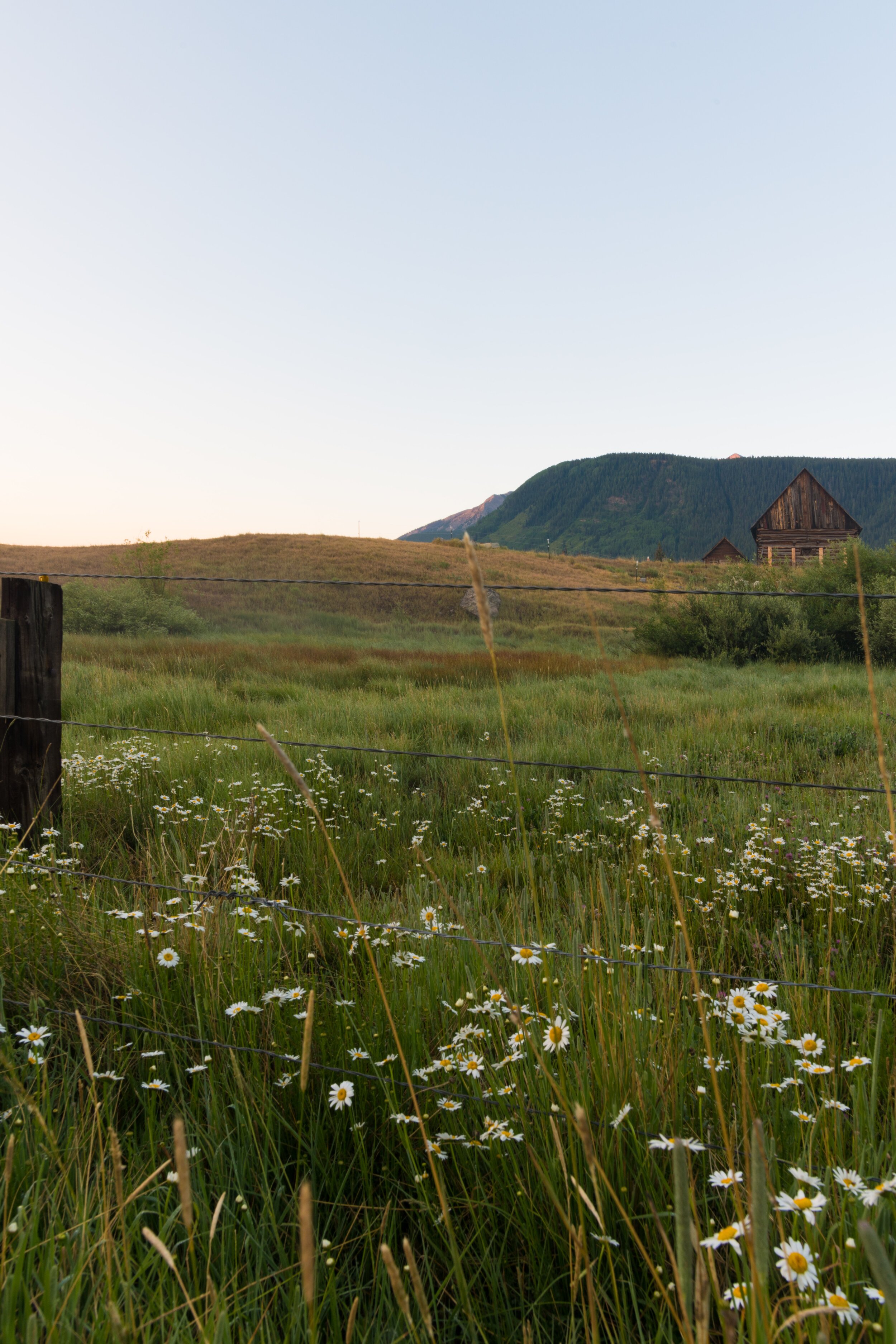 crested-butte-late-summer-early-fall.jpg