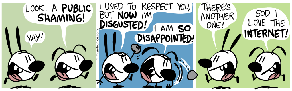 publicshaming-1024x319.png