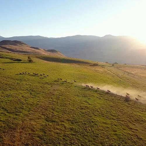 goldcountry-ranch.jpg
