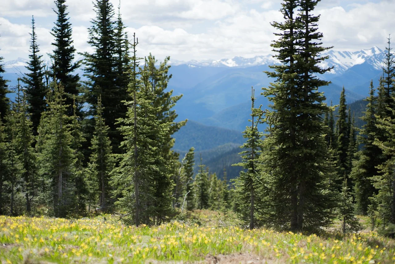 Manning Park.jpg