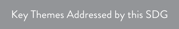  · Electricity access  · Electricity availability and reliability  · Renewable energy  · Energy efficiency  · Infrastructure investments  · Environmental investments 