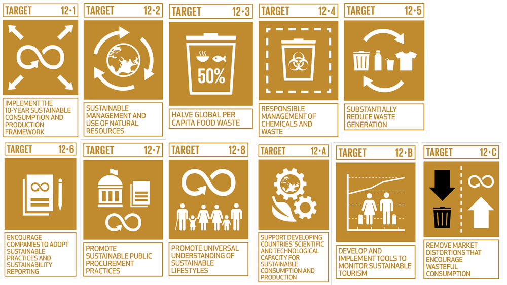 sdg-12-sustainable-consumption-and-production-patterns-thompson