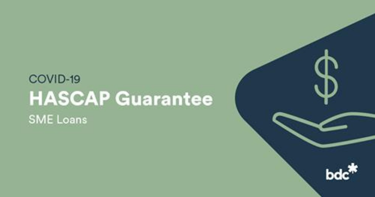 Highly Affected Sectors Credit Availability Program (HASCAP) Guarantee