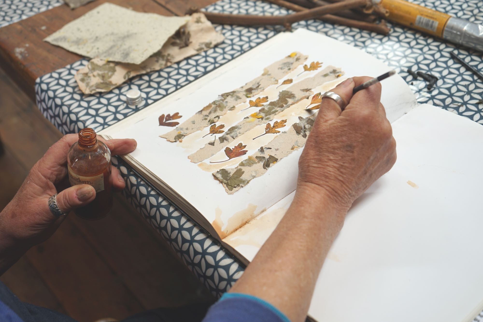 WORKSHOP: Foraged Art Materials