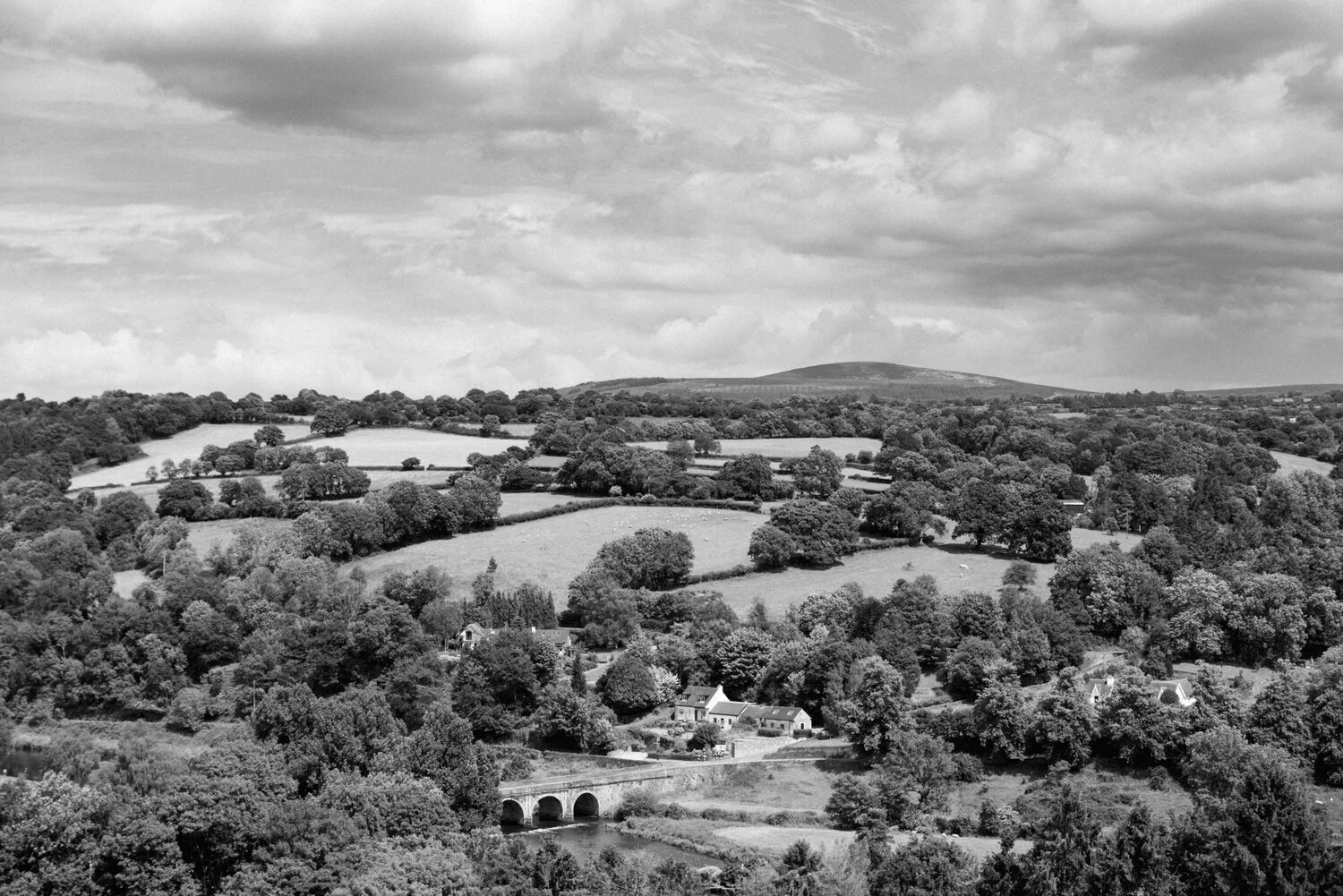 trenholm photo