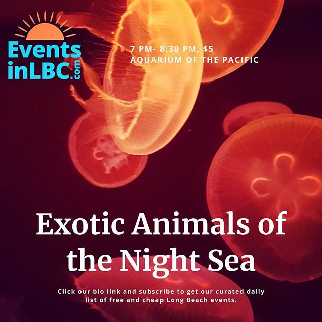 Learn about amazing exotic wildlife under the sea today at a talk by @divecbr at @aquariumpacific. 🐠 Mike Bartick is a diver and underwater photographer who studies the sea life near Anilao, Philippines. He&rsquo;ll share his photos and experiences 