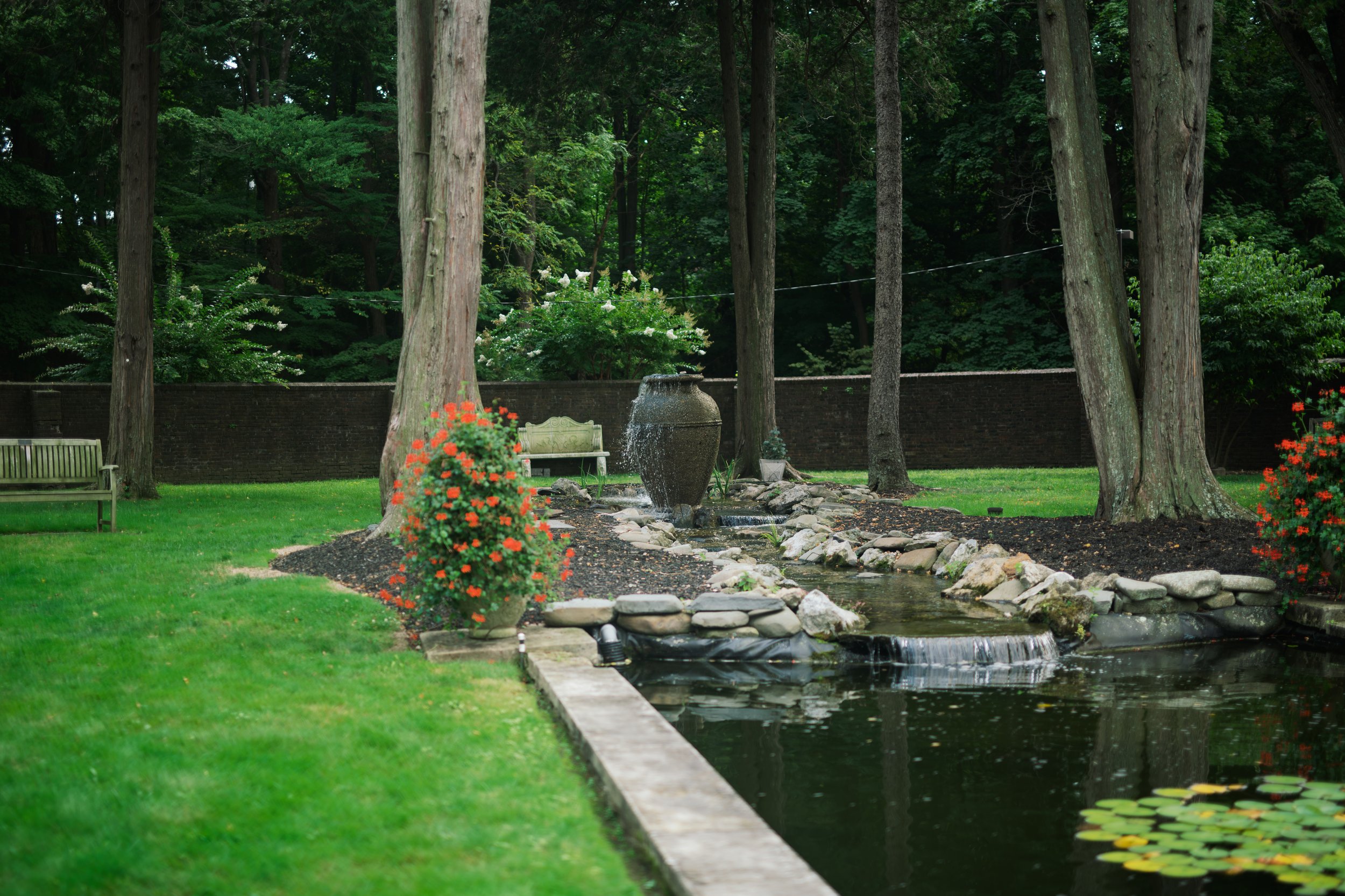 ABP_9637.jpg