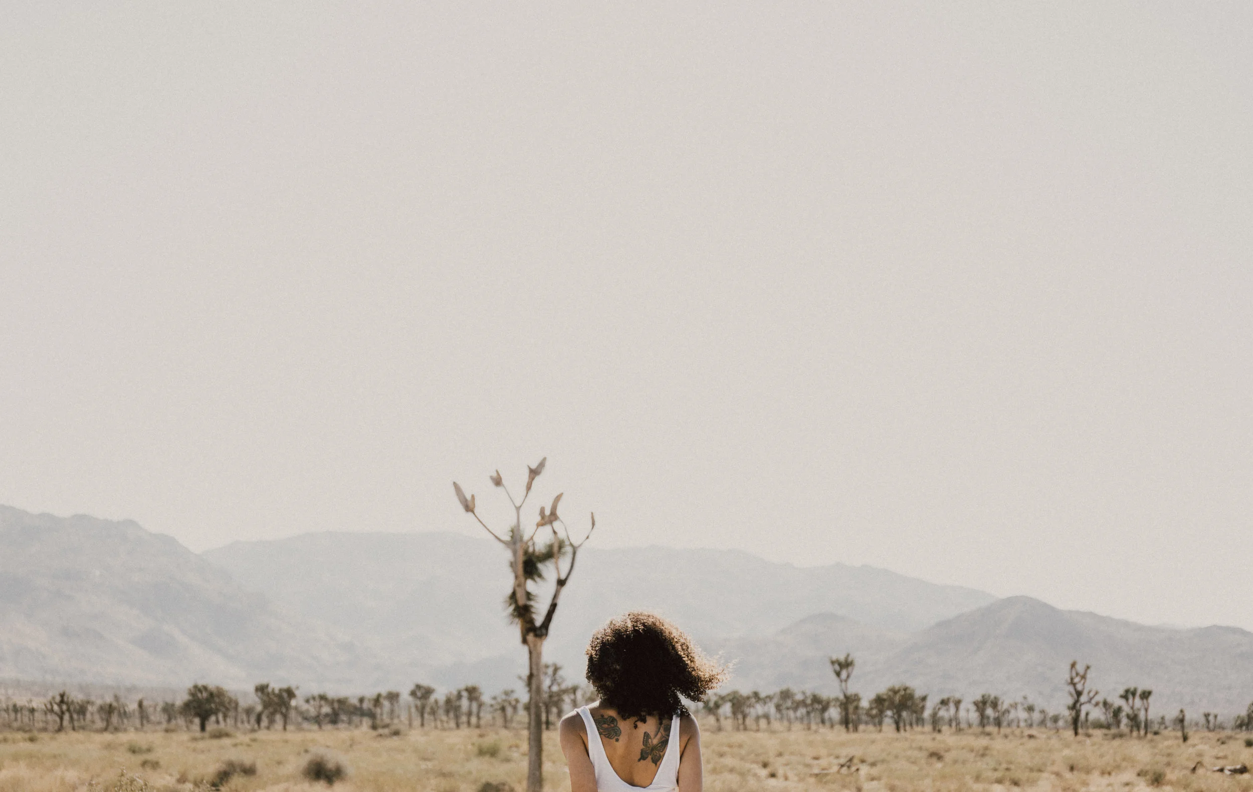 vanessajtnp-18.jpg