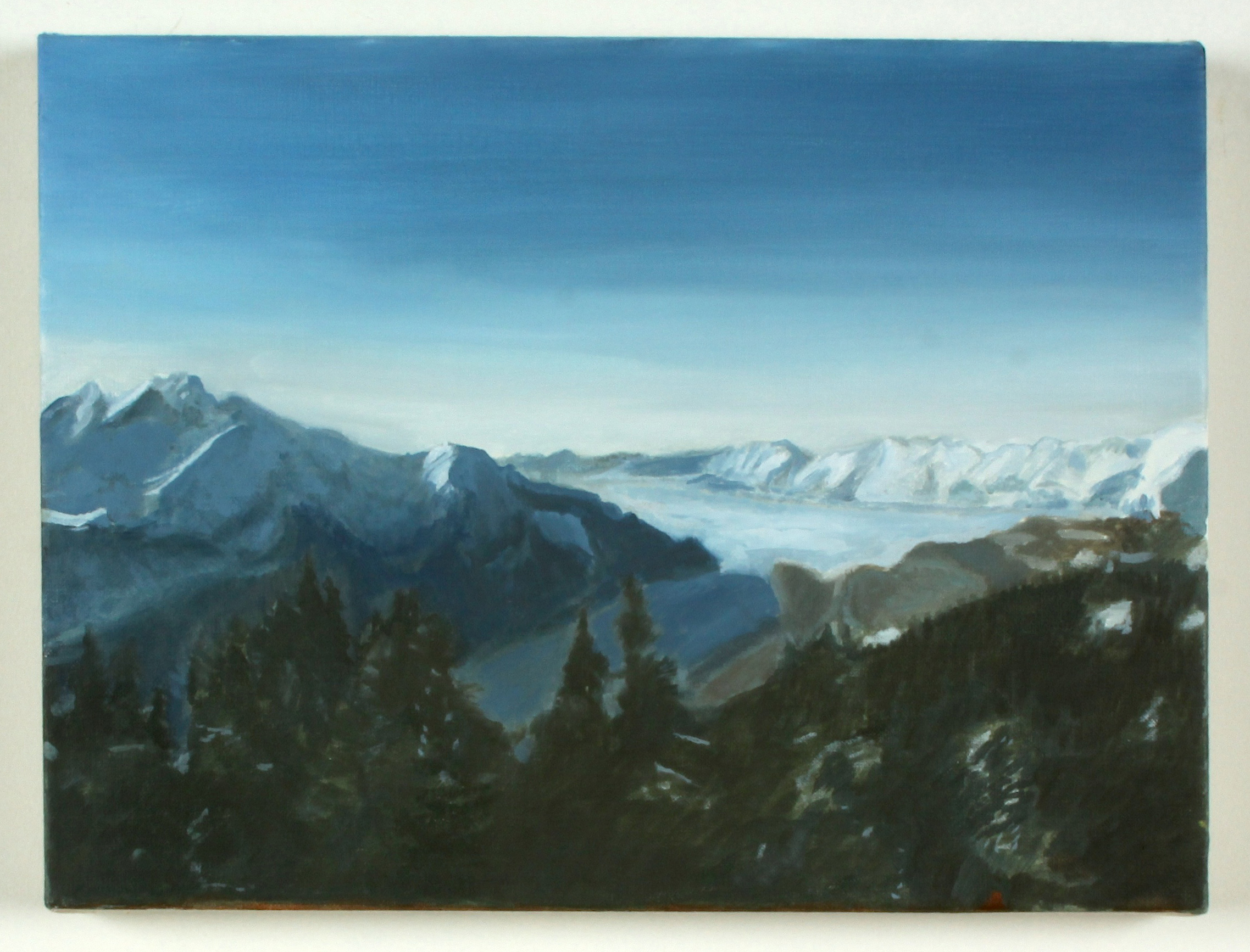 Swiss landscape.jpg