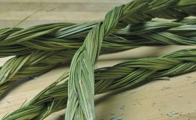 sweet-grass.png