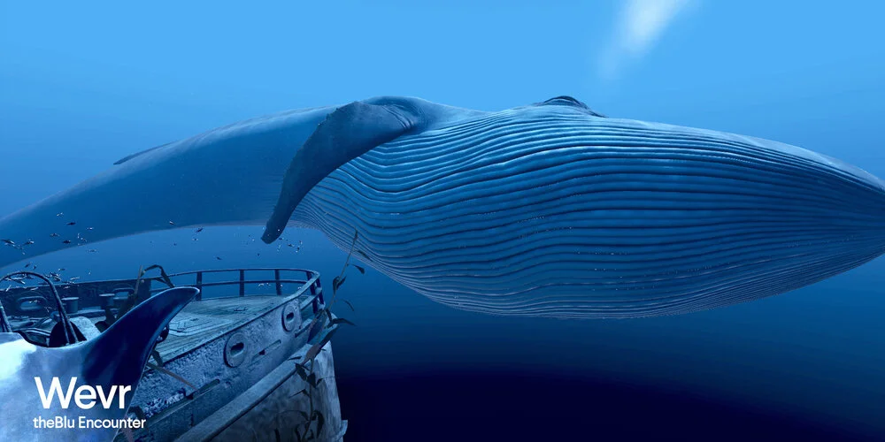  I moved onto theBlu : Encounter after the success of theBluVR and worked closely with Director Jake Rowell and Producer Max Geiger in building this pre-release Vive title 