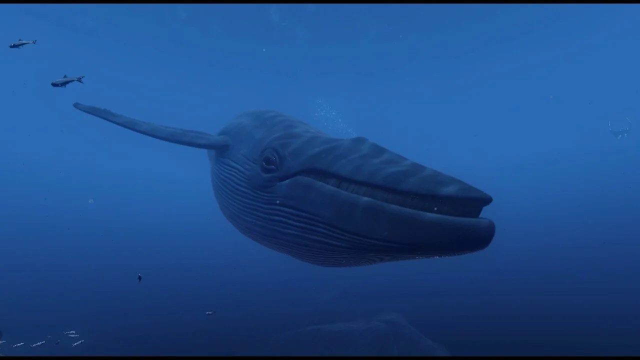  I demoed an early version of theBlu : Encounter at SXSW to a quadriplegic gentleman in a wheelchair. Afterwards we spoke for some time, with tears in his eyes, about how the experience affected him. It is a moment I will never forget and a great exa