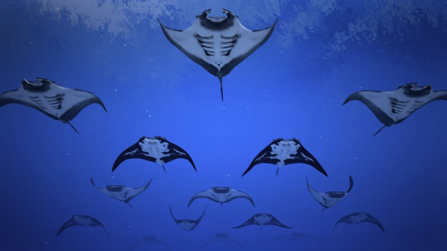  theBluVR was my first VR project as Director and Creative Director. I originally designed the game as a fully interactive ocean experience.  