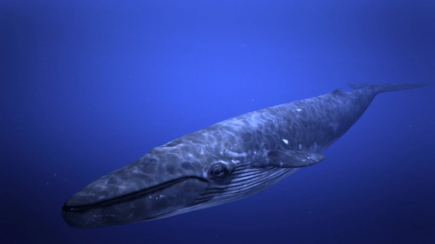  After ½ of production, I transformed the project into a lightly-interactive darkride due to the strict hardware limitations in rendering photoreal environments/characters. 