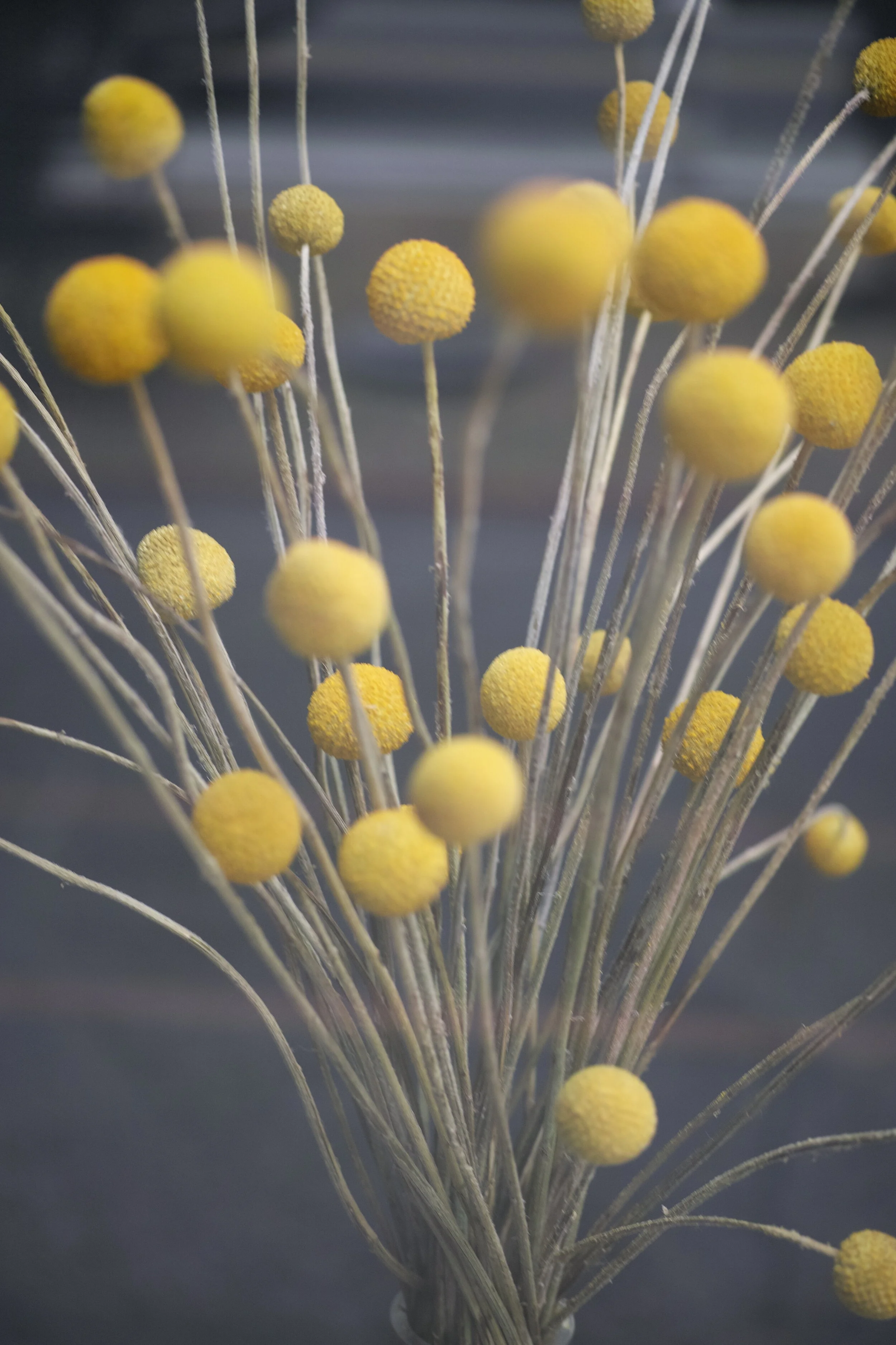 00 - COVER - _P3M1403.JPG