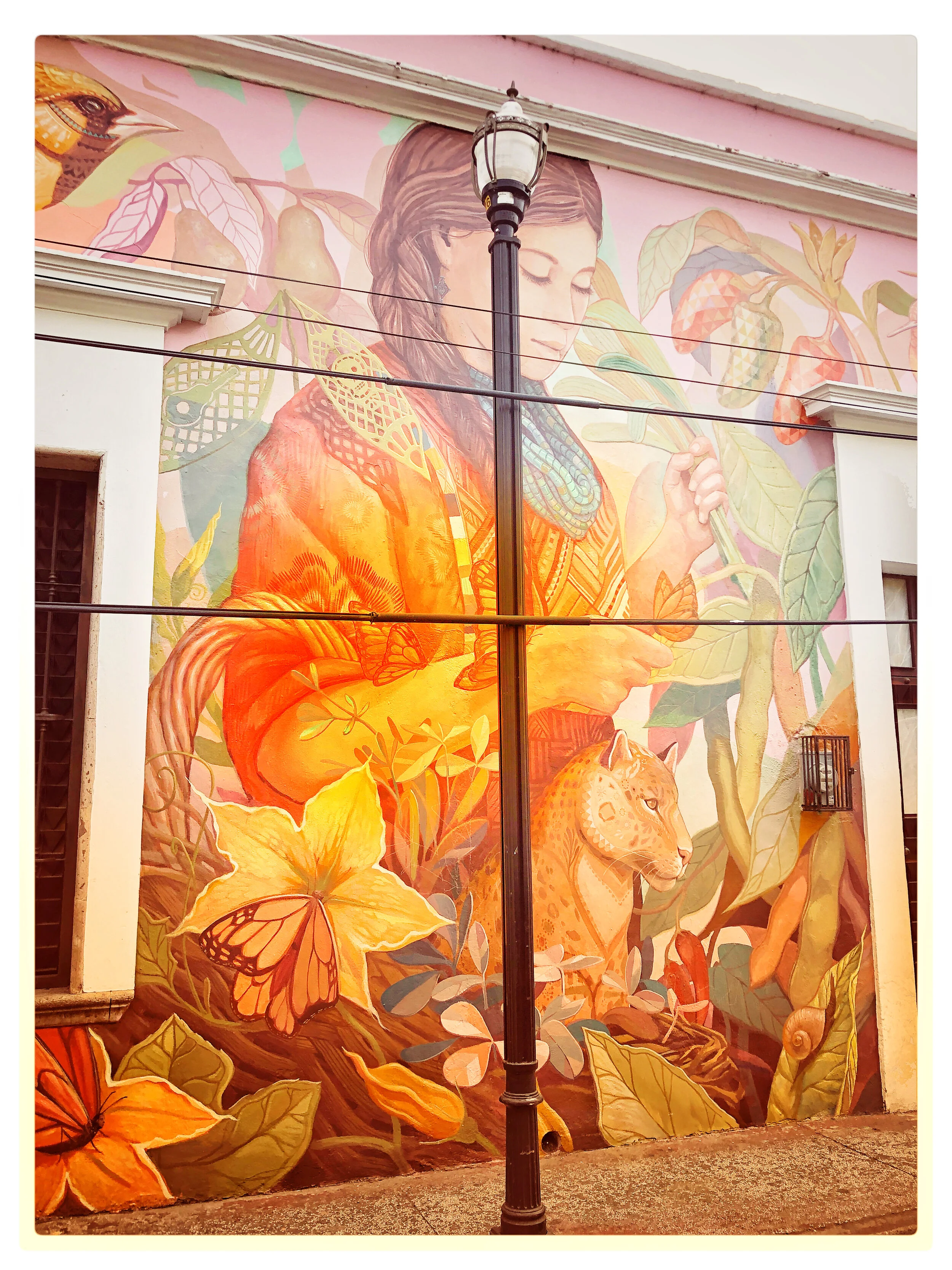 00 - DEC - IMG_4204 - Copy.JPG