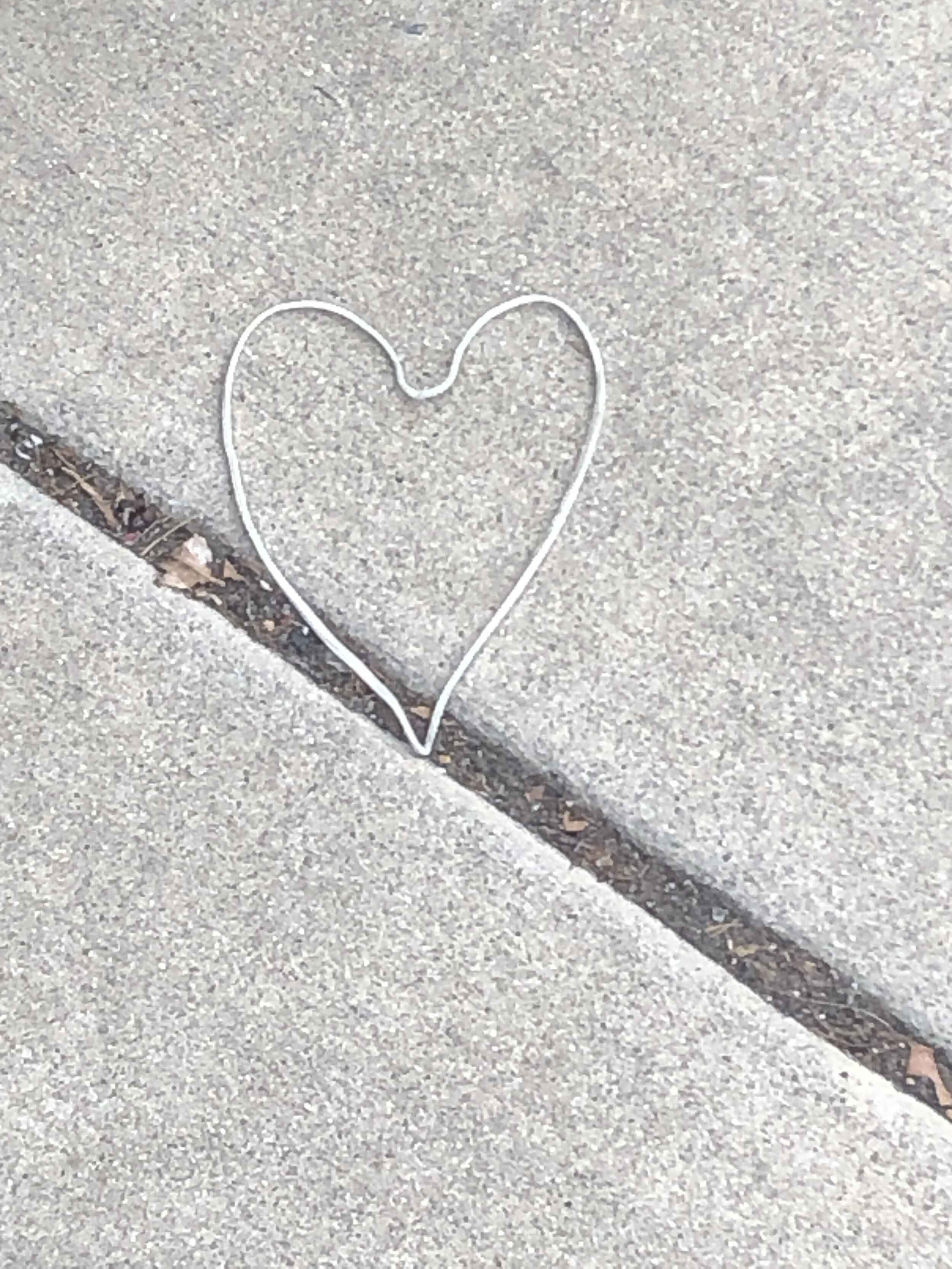 02 - FEB - IMG_4241 - Copy.JPG