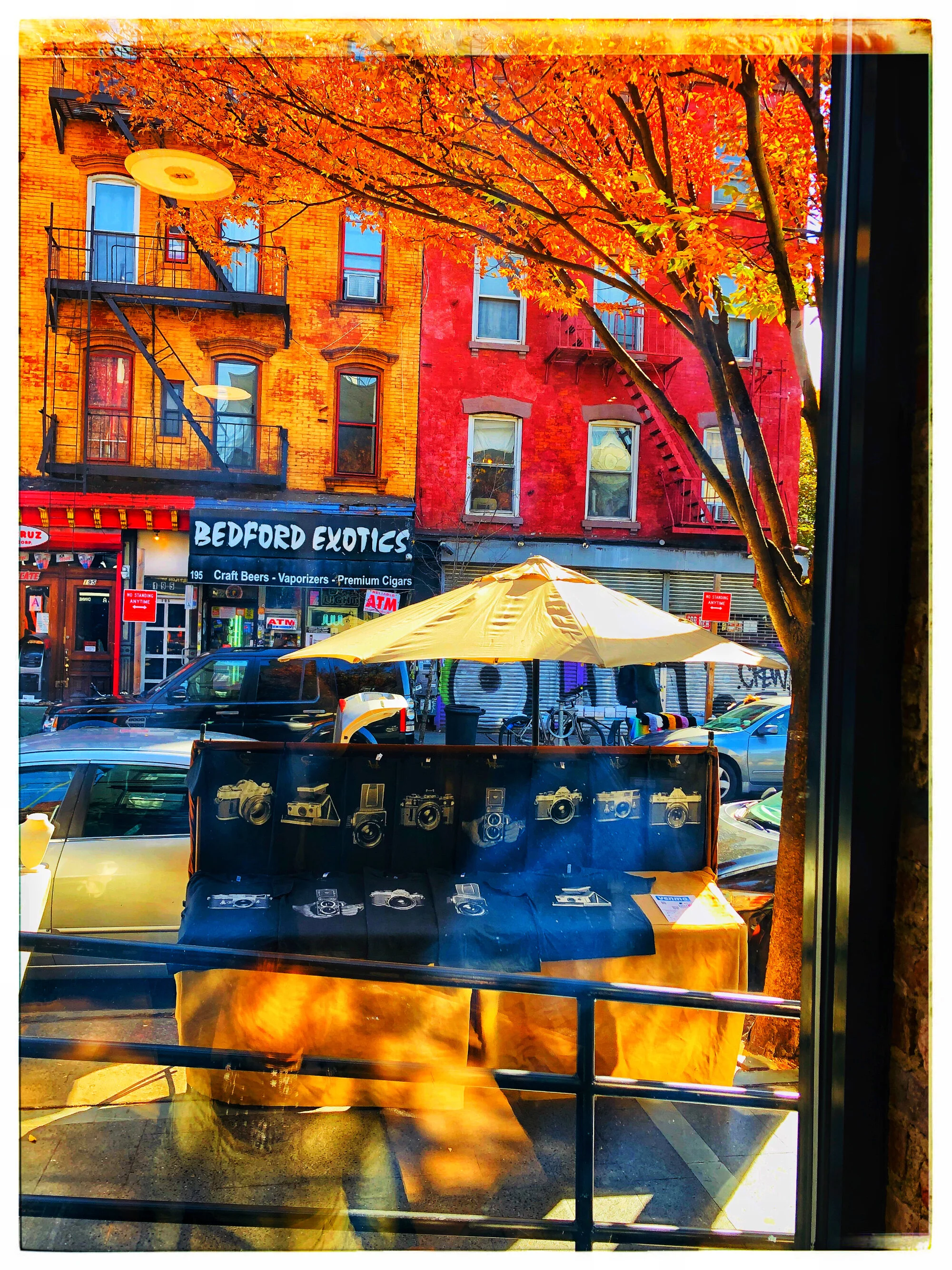 08 - AUG - IMG_4552 - Copy - scaled.JPG