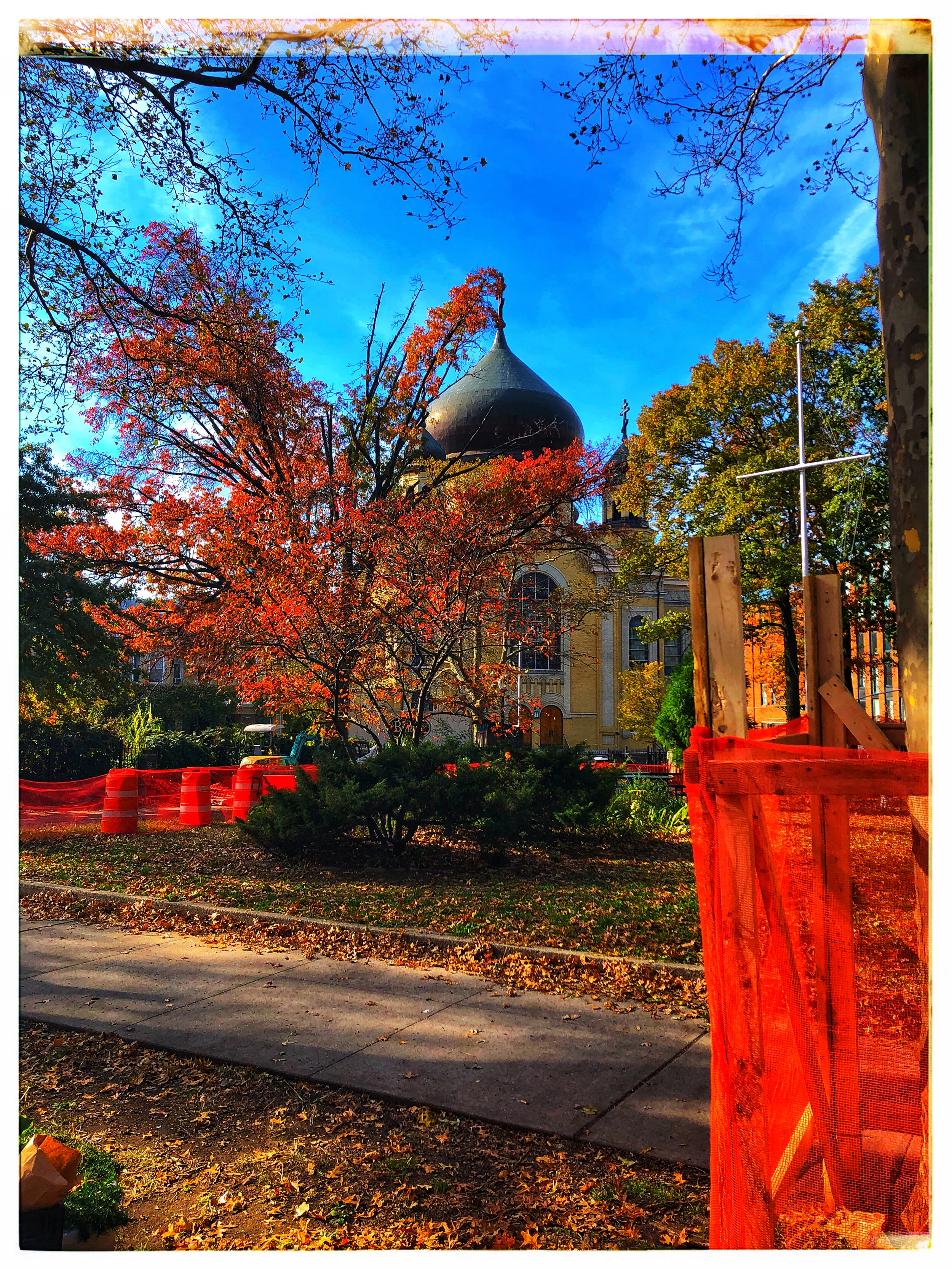 10 - OCT - IMG_4549 - Copy_Scaled.JPG