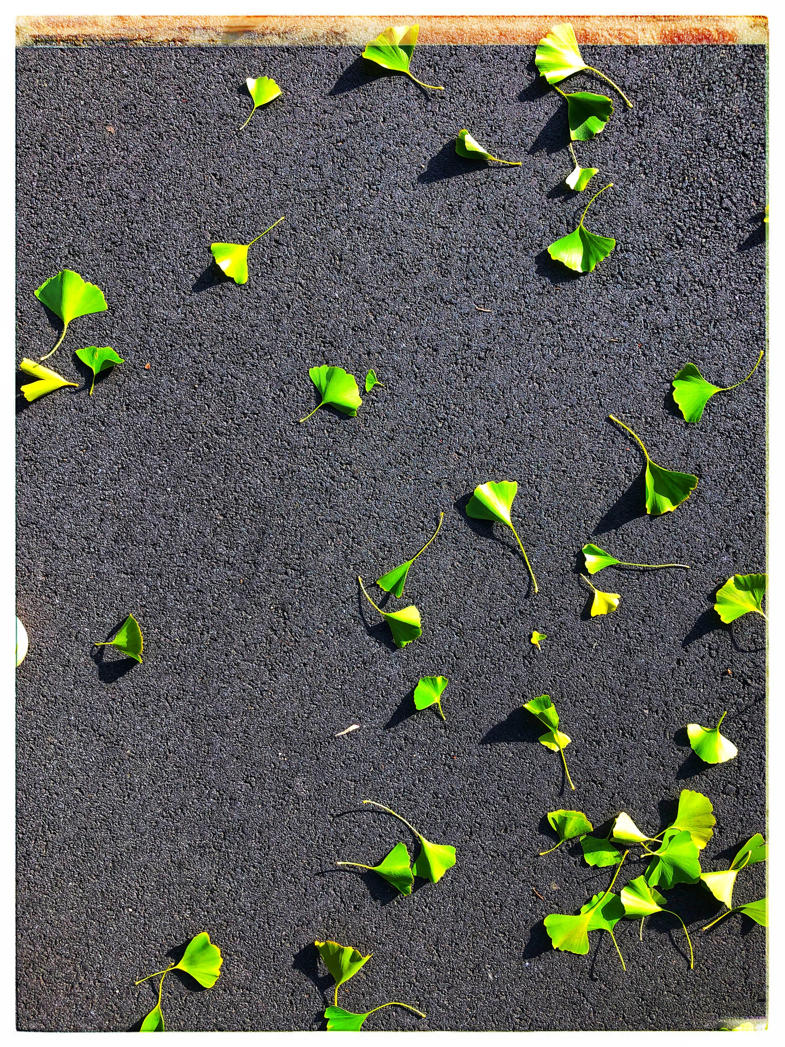 02 - FEB - IMG_4541 - Copy_scaled.JPG