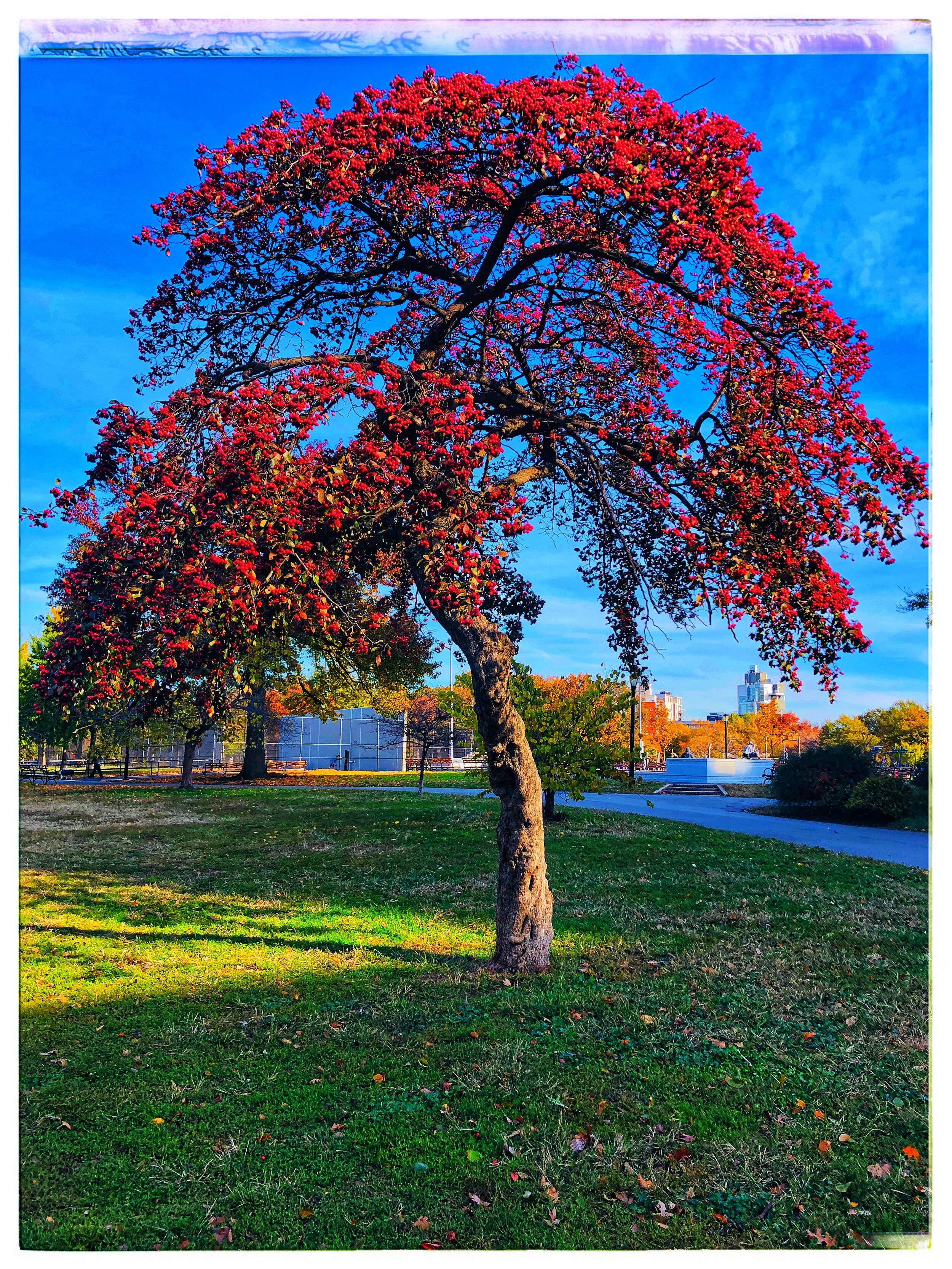 04 - APR - IMG_4544 - Copy_Scaled.JPG