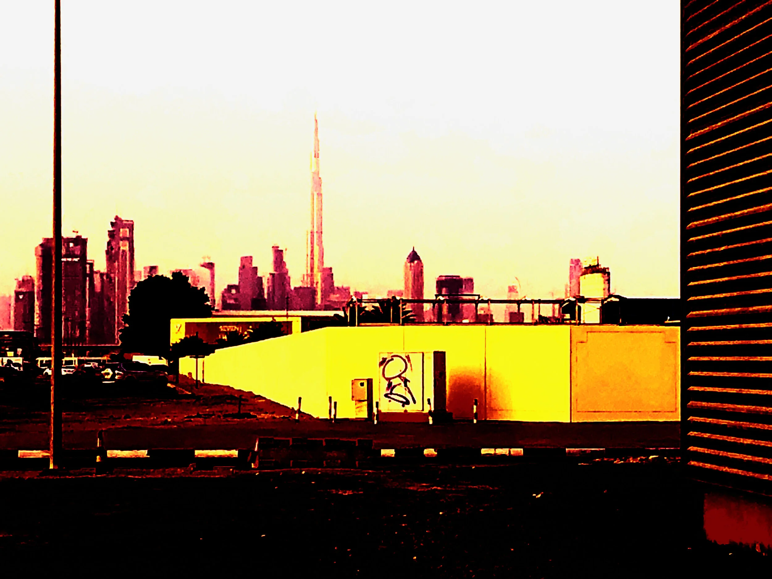 IMG_8557 - Copy.JPG