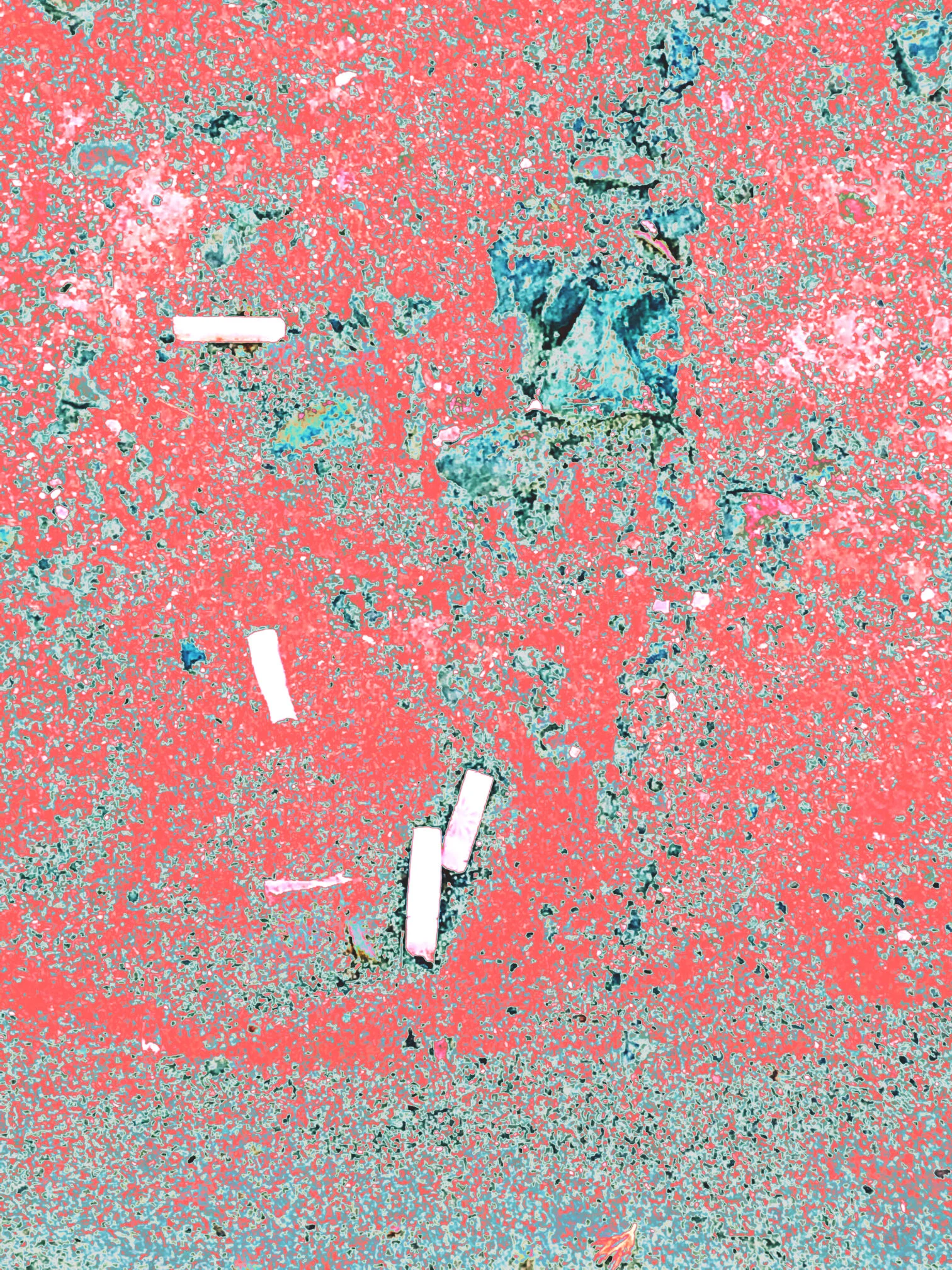 IMG_8144 - Copy-scaled.JPG