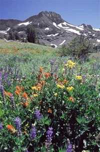 Round Top from the Winnemucca trail