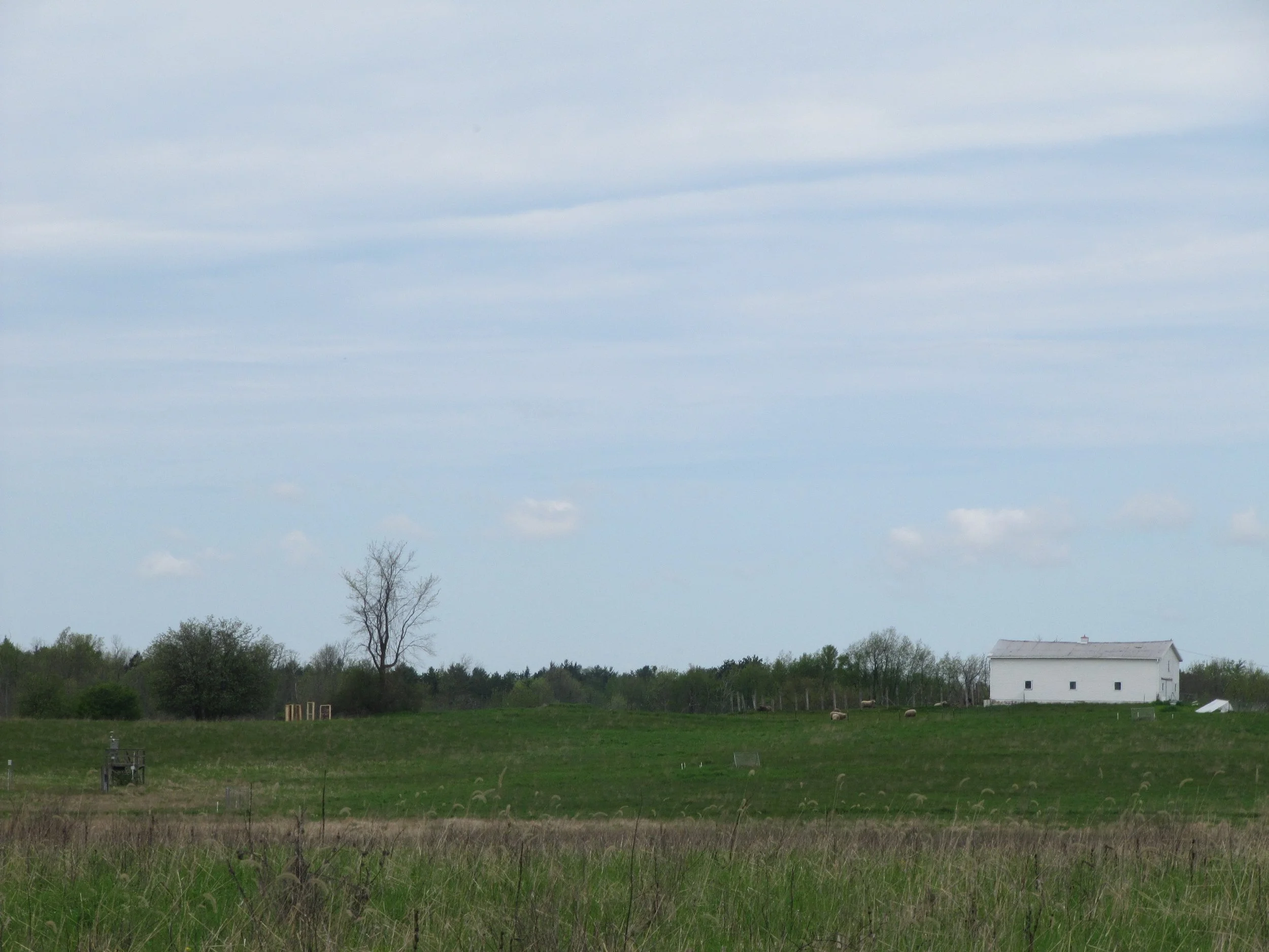 IMG_8253.JPG