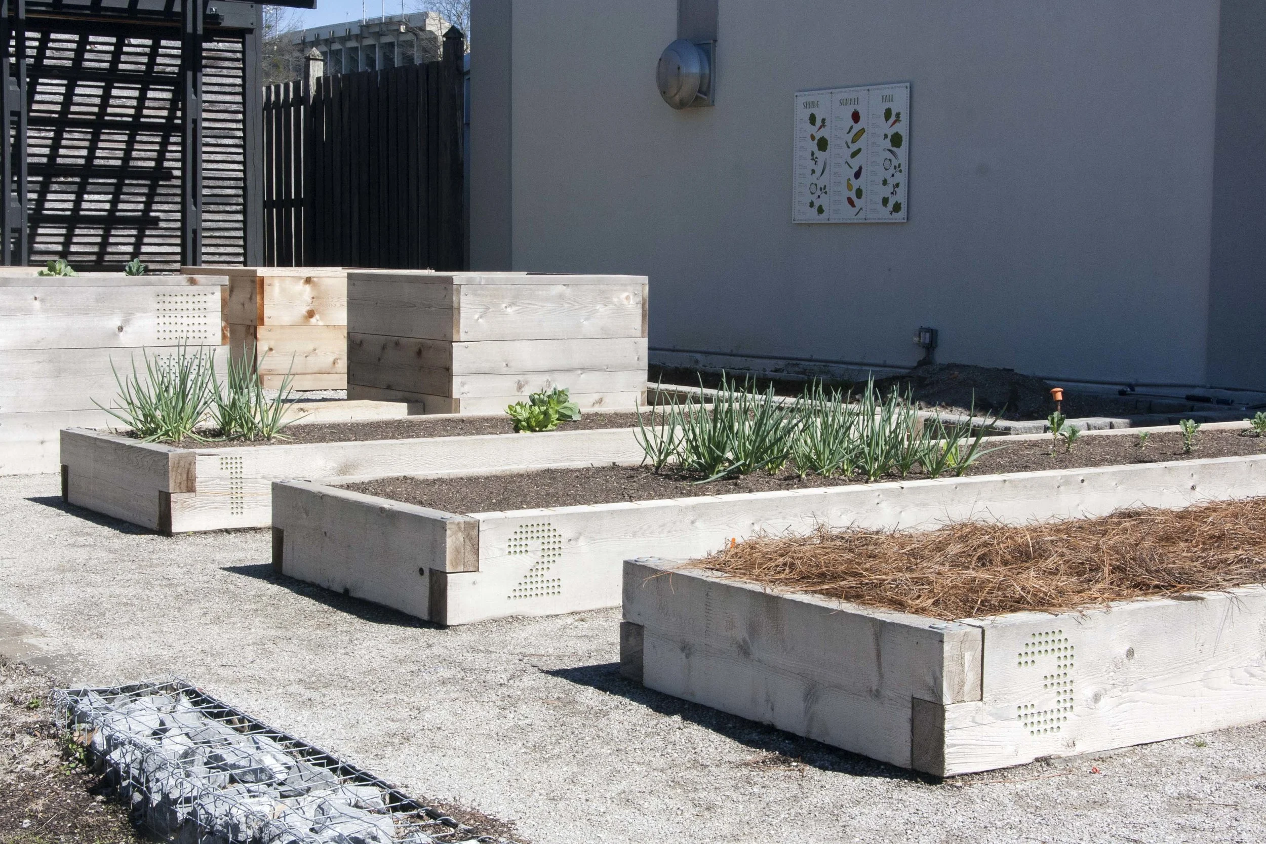 CommunityGarden_Overview.jpg