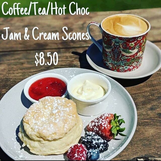 Is there anything better than Jam & Cream scones?? Match it with your choice of tea/coffee/hotchoc this Thursday and Friday for $8.50!! .
#morning #afternoon #anytime #jamandcreamscones #Hillwoodberries #hillwoodfarmgate #tasmania #berries #tamarvalleywineroute #tamarvalley