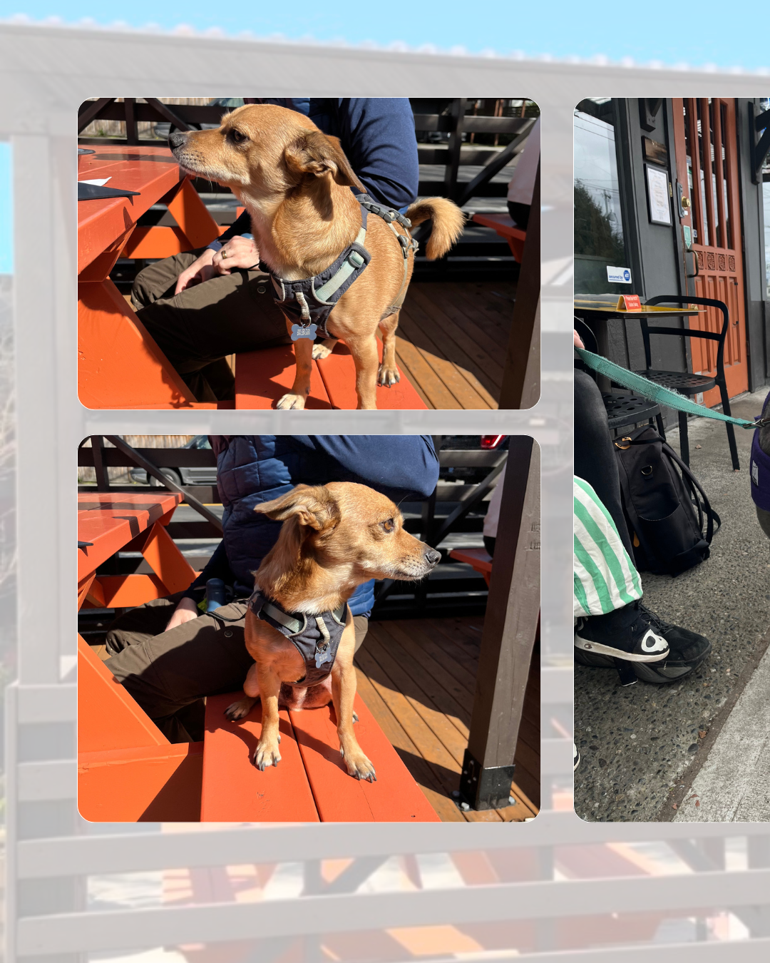 Classic Elegant Seamless Photographer Portfolio Instagram Carousel - 1.png